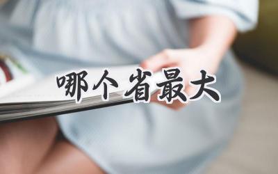 哪个省最大
