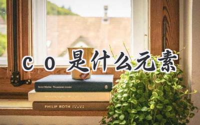 co是什么元素