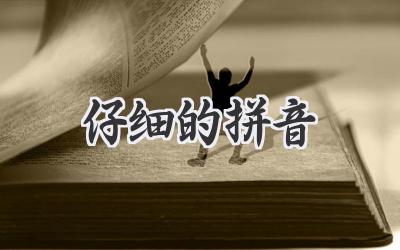 仔细的拼音