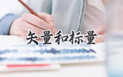 矢量和标量