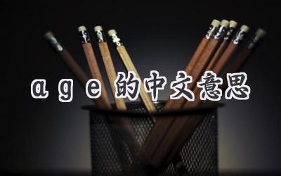 age的中文意思