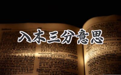入木三分意思
