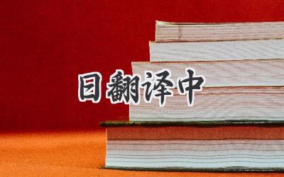 日翻译中