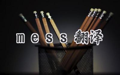 mess翻译