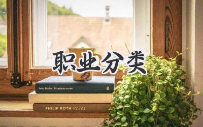 职业分类