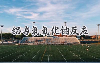 铝与氢氧化钠反应