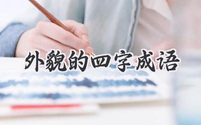 外貌的四字成语
