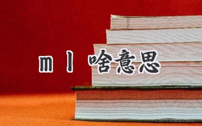 ml啥意思
