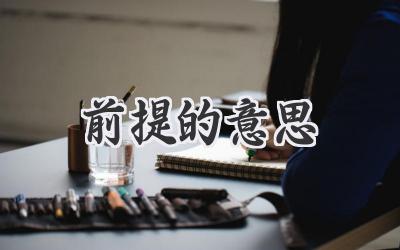 前提的意思