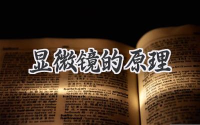 显微镜的原理