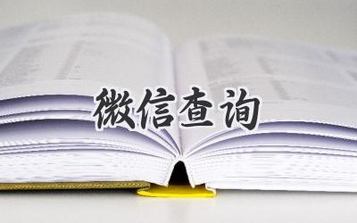 微信查询
