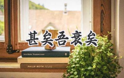 甚矣吾衰矣