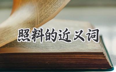 照料的近义词