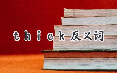 thick反义词