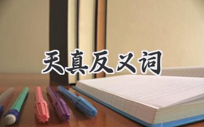 天真反义词