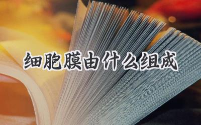 细胞膜由什么组成