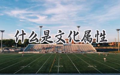 什么是文化属性