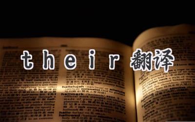 their翻译