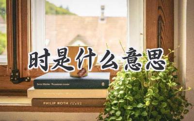 时是什么意思