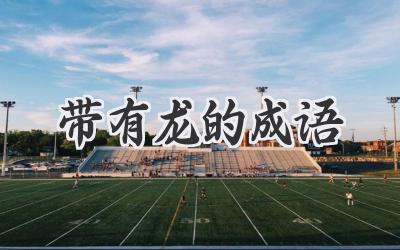 带有龙的成语