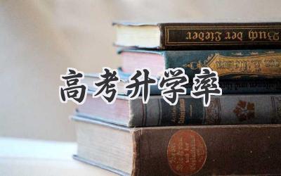 高考升学率