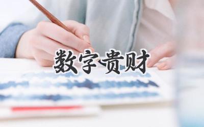数字贵财