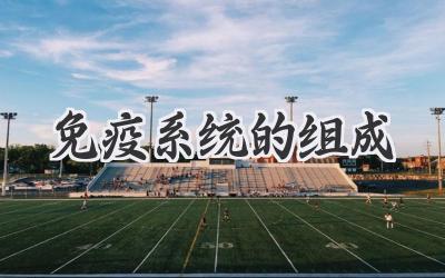 免疫系统的组成