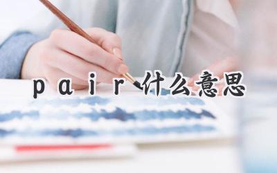 pair什么意思