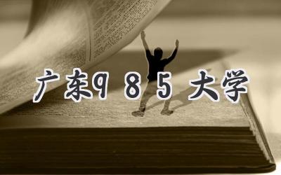 广东985大学