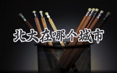 北大在哪个城市