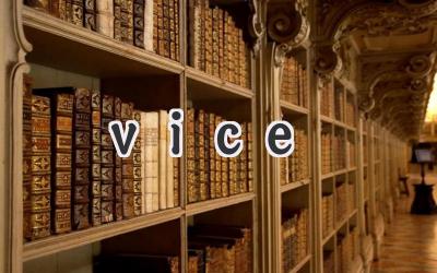 vice