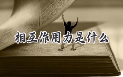 相互作用力是什么