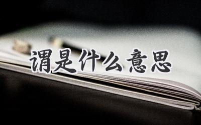 谓是什么意思