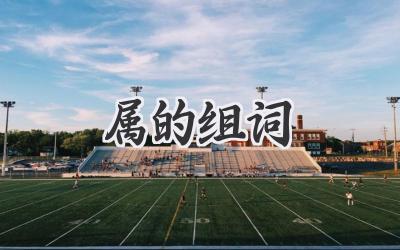 属的组词