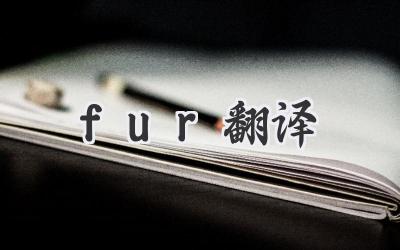 fur翻译