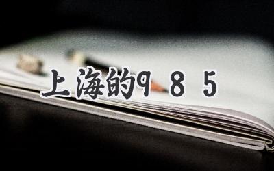 上海的985