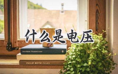 什么是电压