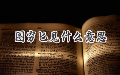 图穷匕见什么意思
