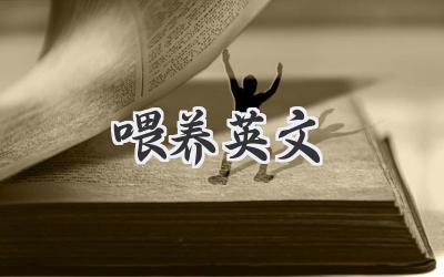 喂养英文