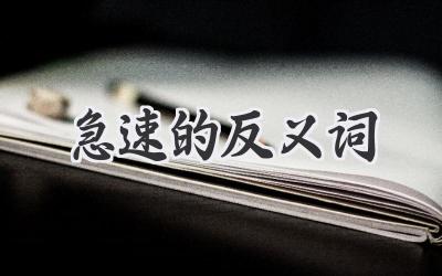 急速的反义词