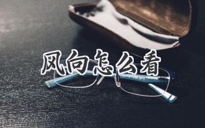风向怎么看