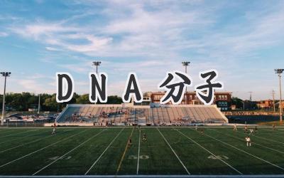 DNA分子