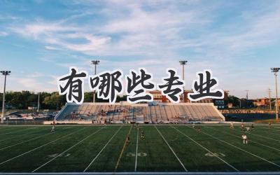 有哪些专业