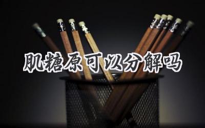 肌糖原可以分解吗