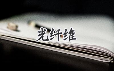 光纤维