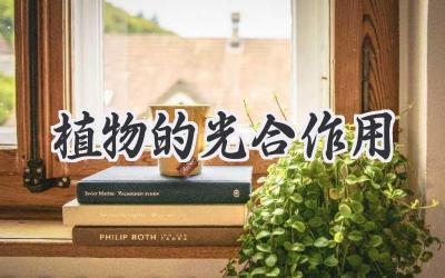 植物的光合作用