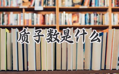 质子数是什么