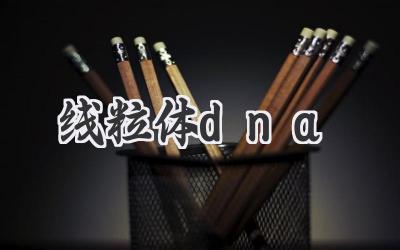 线粒体dna