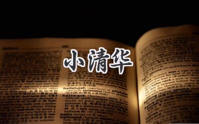 小清华