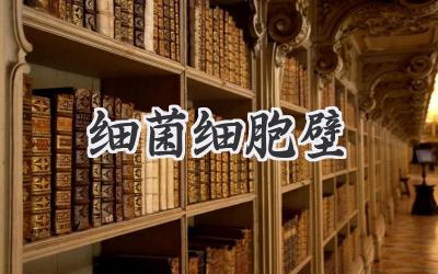 细菌细胞壁